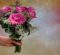 Floristerias en La Haba. Envio Gratuito 24H 10 envio de flores Corte de Peleas